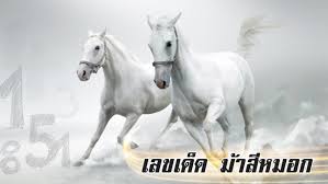 ทีเด็ดหวยพร้อมวิเคราะห์เลขเด็ดฟรี